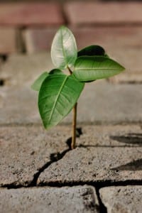 overcomingadversity