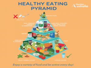 healthpyramid