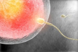 Pre-conception Care For Healthy Babies