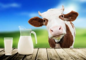 Dairy – Why It Is Problematic For Most People