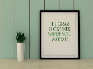The Grass Is Always Greener: A Scientific Illusion
