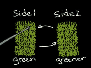 The Grass Is Always Greener: A Scientific Illusion
