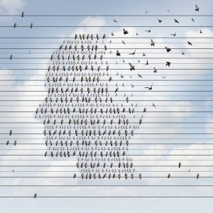 Does Poverty & Racism Raise The Risk Of Alzheimer’s For African Americans?