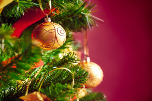 What Have We Learned?